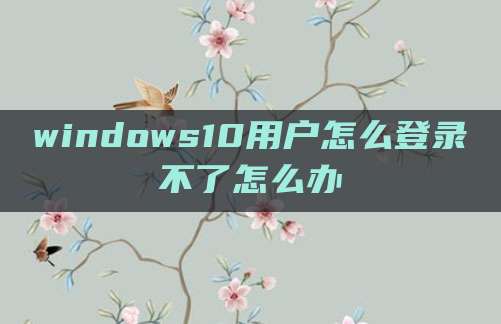 windows10用户怎么登录不了怎么办