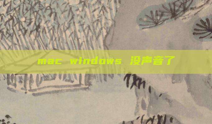 mac windows 没声音了