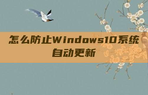怎么防止Windows10系统自动更新