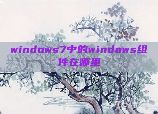 windows7中的windows组件在哪里