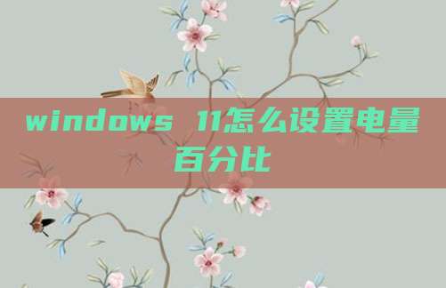 windows 11怎么设置电量百分比