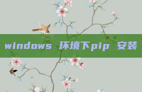 windows 环境下pip 安装