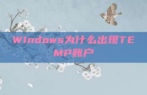 Windows为什么出现TEMP账户