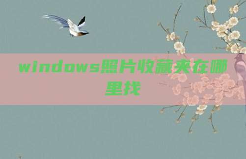 windows照片收藏夹在哪里找