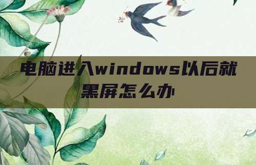 电脑进入windows以后就黑屏怎么办