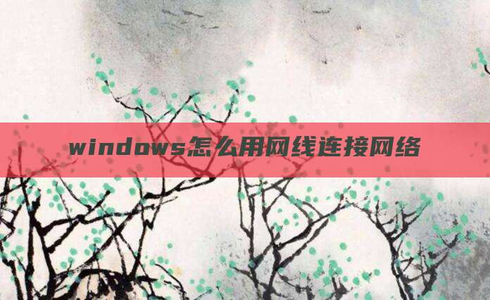windows怎么用网线连接网络