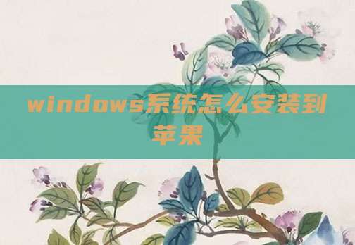 windows系统怎么安装到苹果