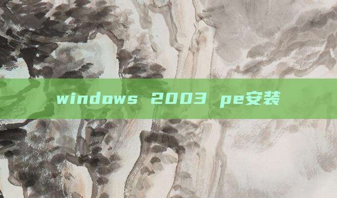 windows 2003 pe安装