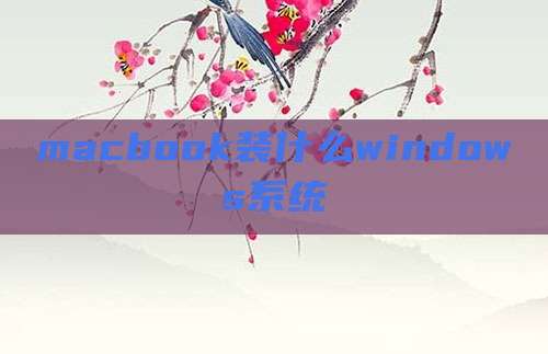 macbook装什么windows系统
