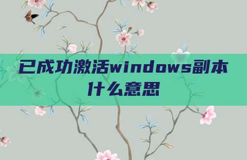 已成功激活windows副本什么意思