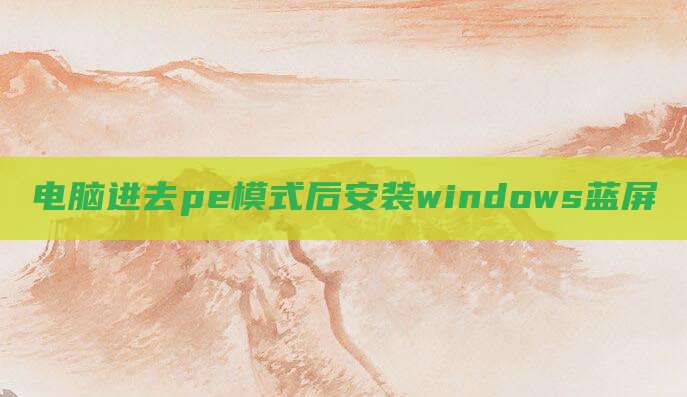 电脑进去pe模式后安装windows蓝屏