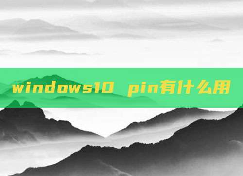 windows10 pin有什么用