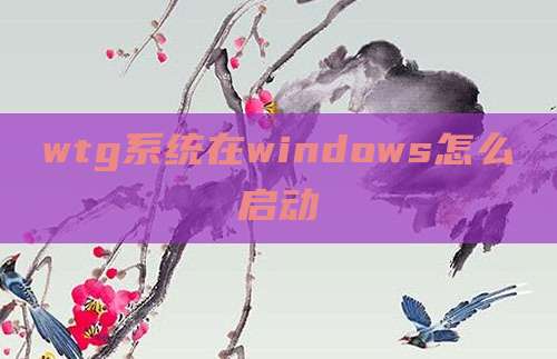 wtg系统在windows怎么启动
