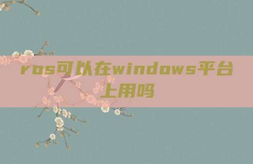ros可以在windows平台上用吗