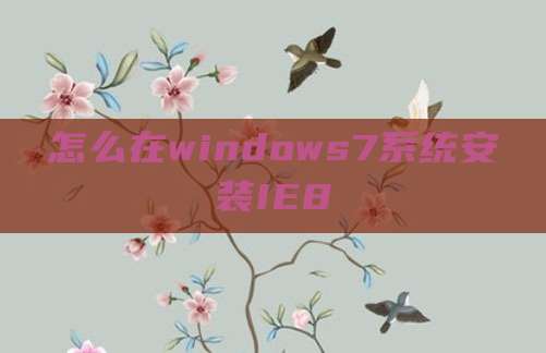 怎么在windows7系统安装IE8