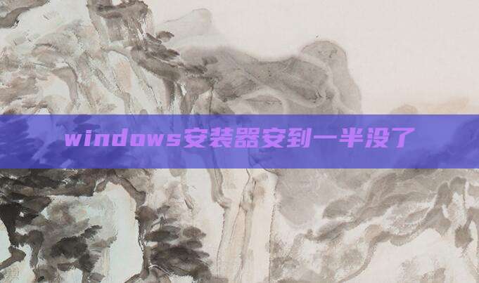 windows安装器安到一半没了