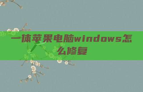 一体苹果电脑windows怎么修复