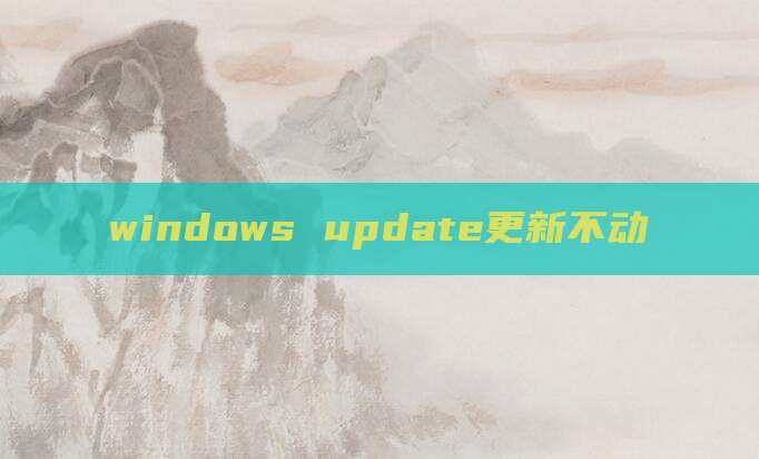 windows update更新不动