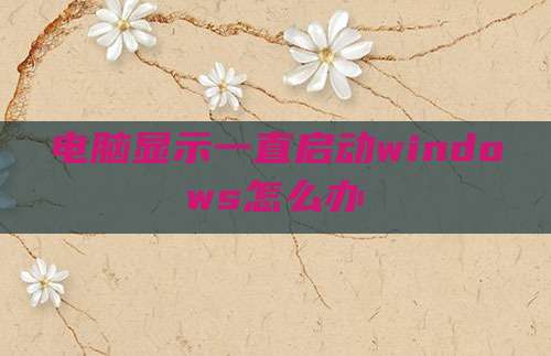电脑显示一直启动windows怎么办