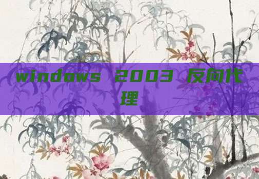 windows 2003 反向代理