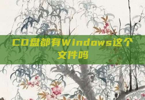 CD盘都有Windows这个文件吗