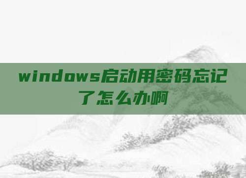 windows启动用密码忘记了怎么办啊
