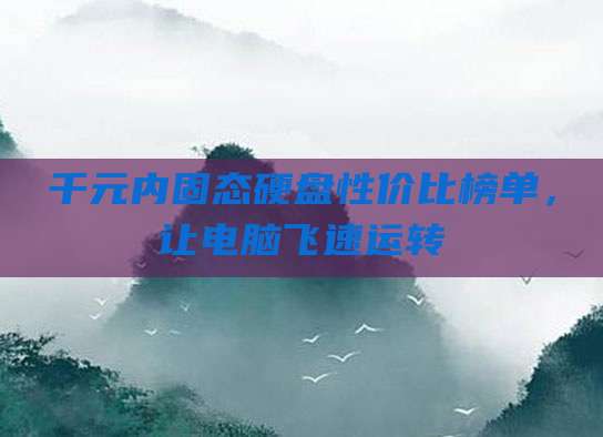 千元内固态硬盘性价比榜单，让电脑飞速运转