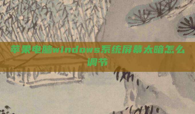 苹果电脑windows系统屏幕太暗怎么调节