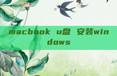 macbook u盘 安装windows
