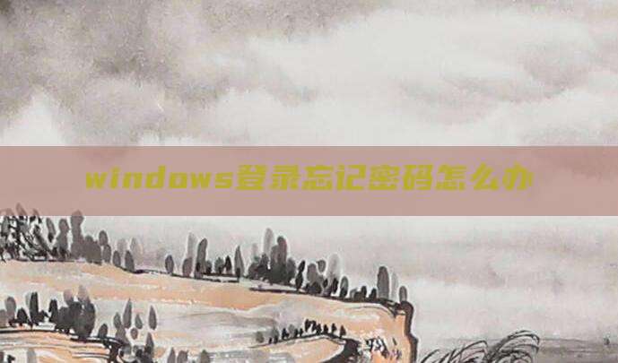 windows登录忘记密码怎么办