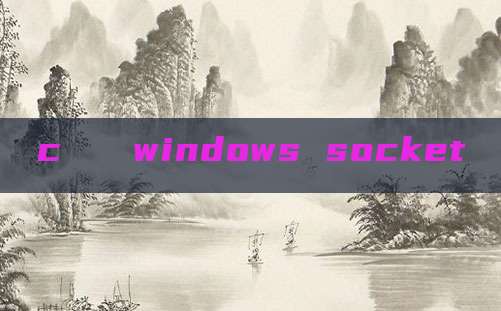 c   windows socket