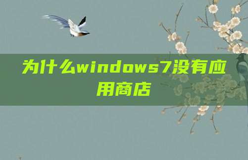 为什么windows7没有应用商店