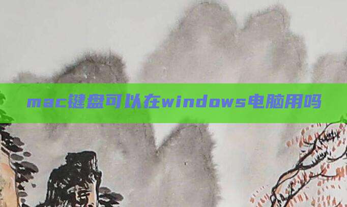 mac键盘可以在windows电脑用吗