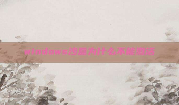 windows沙盒为什么不能激活