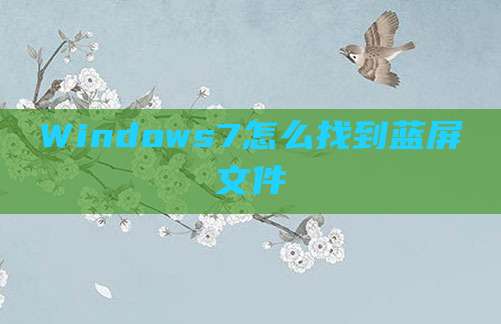 Windows7怎么找到蓝屏文件