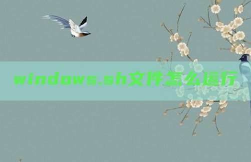 windows.sh文件怎么运行