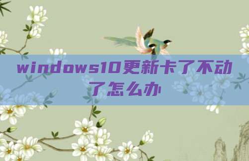 windows10更新卡了不动了怎么办