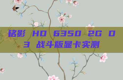 铭影 HD 6350 2G D3 战斗版显卡实测