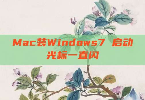 Mac装Windows7 启动光标一直闪