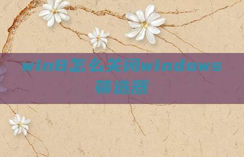 win8怎么关闭windows筛选器