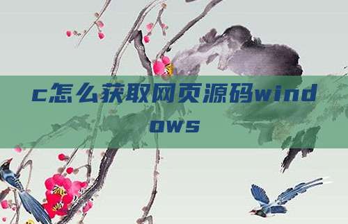 c怎么获取网页源码windows