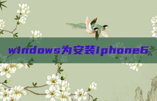 windows为安装iphone6
