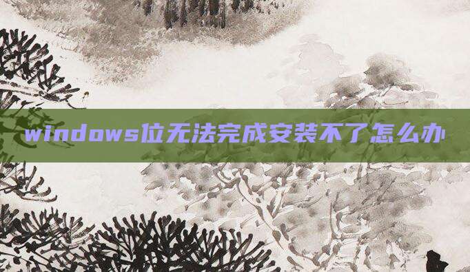 windows位无法完成安装不了怎么办