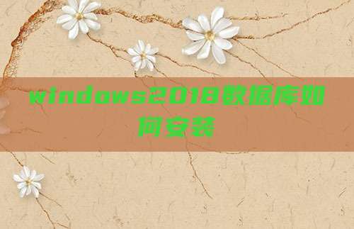 windows2018数据库如何安装