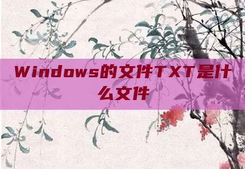 Windows的文件TXT是什么文件