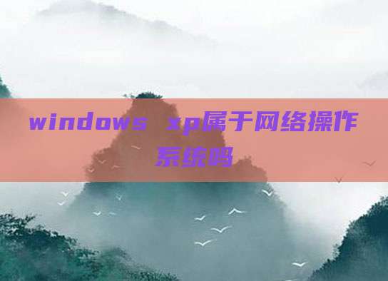 windows xp属于网络操作系统吗