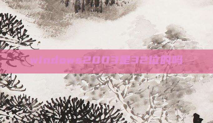 windows2003是32位的吗