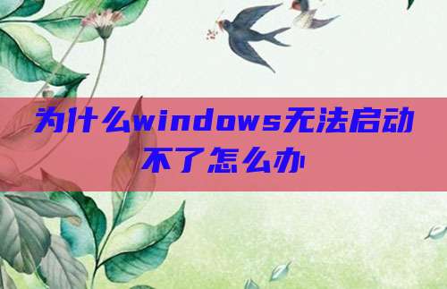 为什么windows无法启动不了怎么办