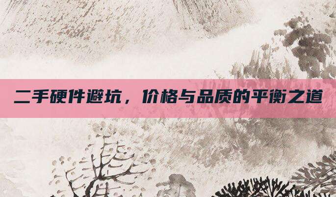 二手硬件避坑，价格与品质的平衡之道