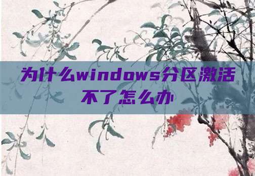 为什么windows分区激活不了怎么办